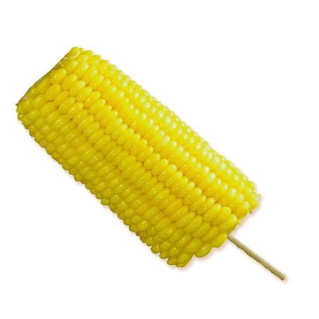 Corn on the Cob